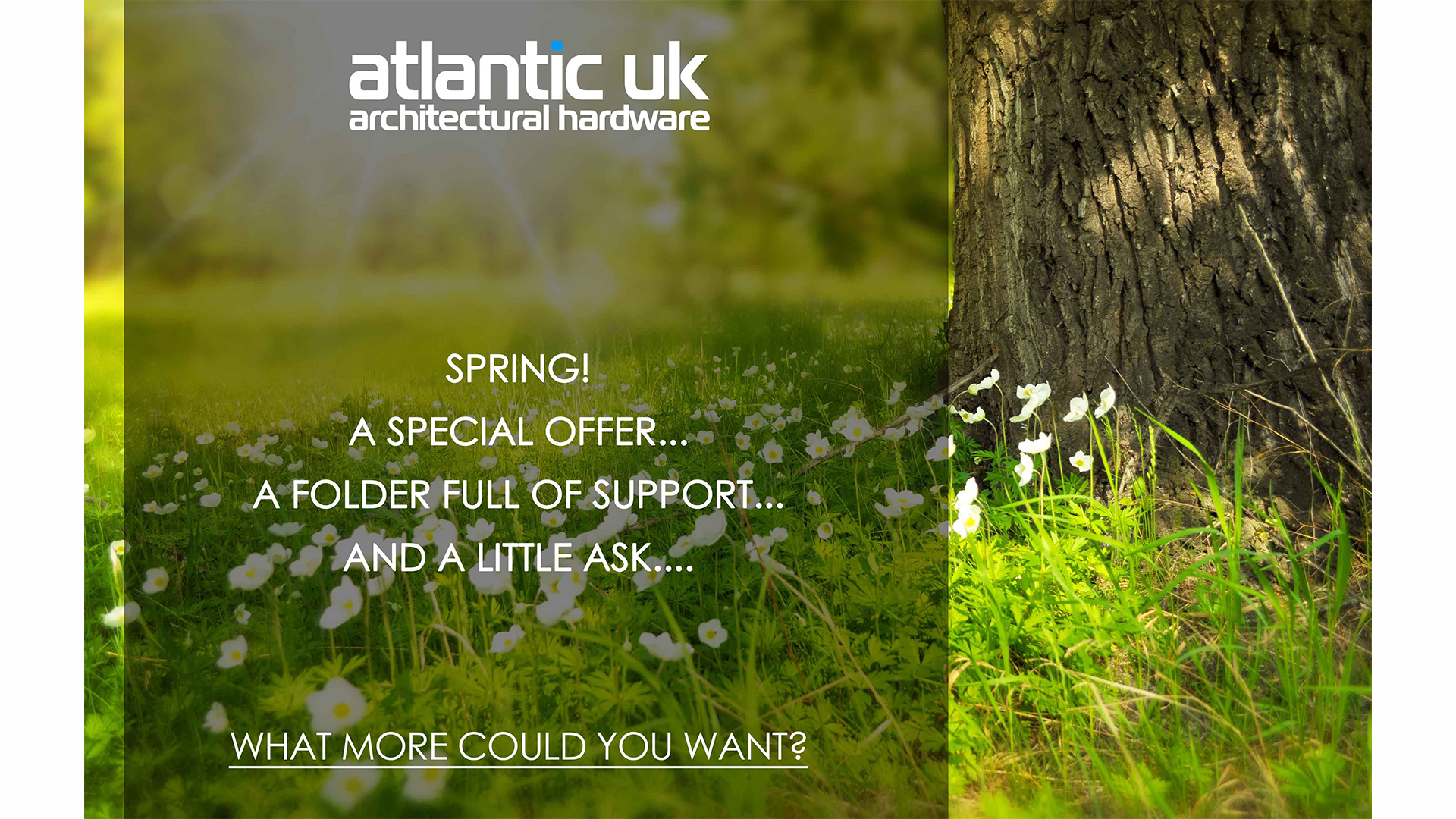 Spring! A Special Offer! A Folder Full of Help.. And Much More!