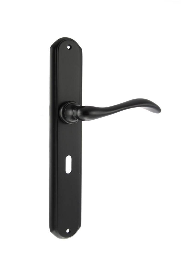 LIMITED EDITION FBP138KMB Forme Valence Solid Brass Key Lever Door Handle on Backplate - Matt Black