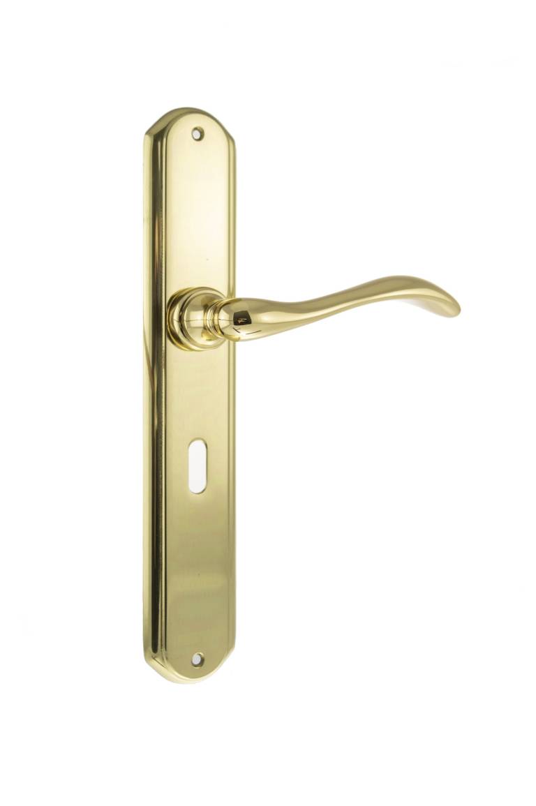 LIMITED EDITION FBP138KPB Forme Valence Solid Brass Key Lever Door Handle on Backplate - Polished Brass