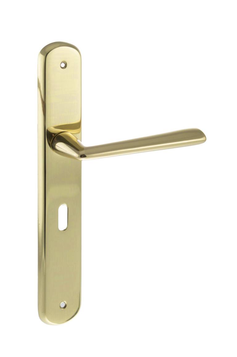 LIMITED EDITION FBP193KPB Forme Brigette Solid Brass Key Lever Door Handle on Backplate - Polished Brass