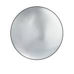 Polished Stainless Steel (PSS)